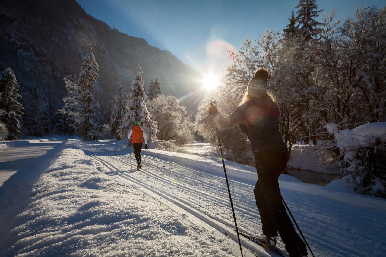 Chalet Happy Family, Secluded Location, 15 Min To Salzburg And Just Short To T Lakes Sound Of Music, Bbq&Bikes&Sunbeds For Free, Up To 14P Golling an der Salzach Exterior photo