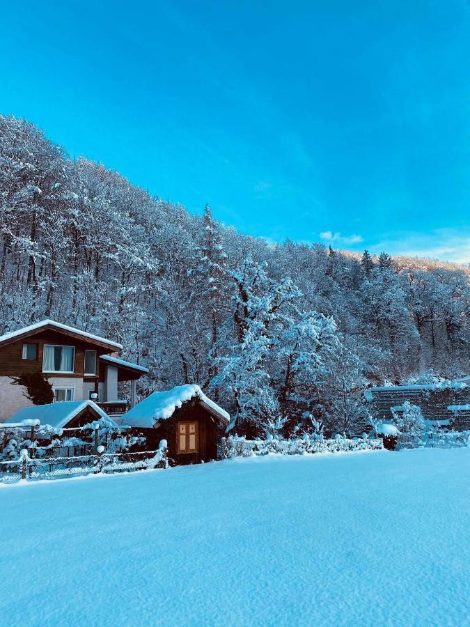 Chalet Happy Family, Secluded Location, 15 Min To Salzburg And Just Short To T Lakes Sound Of Music, Bbq&Bikes&Sunbeds For Free, Up To 14P Golling an der Salzach Exterior photo